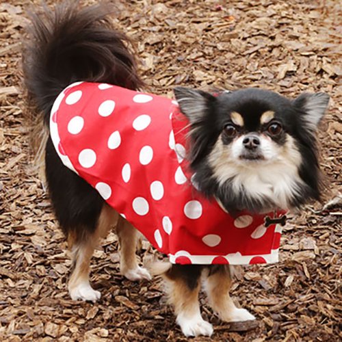 【Coo Couture】クークチュール　水玉レインポンチョ［小型犬・中型犬用］