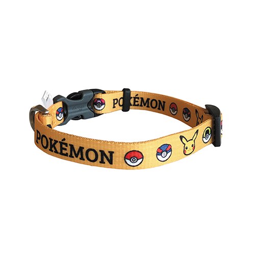 【ポケモン】カラー