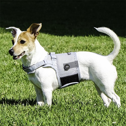 【sleepypod】Martingale Dog Harness / スリーピーポッド　マーチンゲール　ドッグハーネス　＜全5色＞