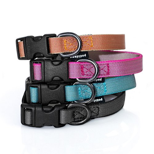 【sleepypod】Everyday Collar / スリーピーポッド　エブリデイカラー　犬用　＜全4色＞