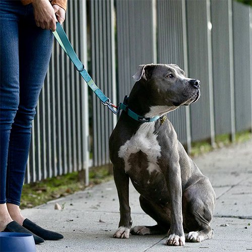 【sleepypod】Traffic Leash / スリーピーポッド　トラフィックリーシュ　犬用　＜全4色＞