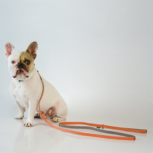 【sleepypod】Slim Leash / スリーピーポッド　スリムリーシュ　犬・猫用　＜全4色＞