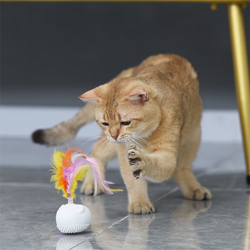 【BENTOPAL】CATTOY P06