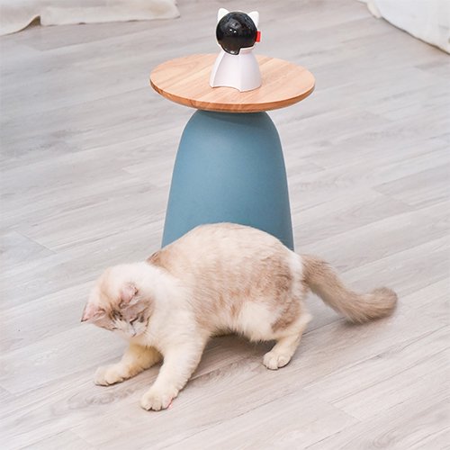 【BENTOPAL】CATTOY P08