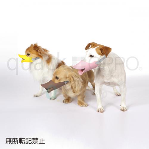 【OPPO】quack / オッポ　クァック　＜全5サイズ＞