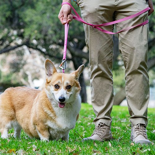 【sleepypod】Power Leash / スリーピーポッド　パワーリーシュ　犬用　＜全4色＞