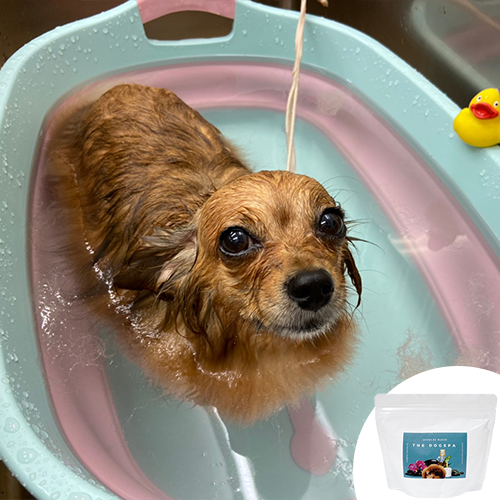 ペット用水素浴「お風呂でマーチ」 / 業務用 / 犬用・猫用