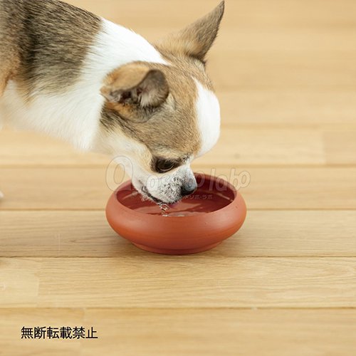 【OPPO】TokoBowl for Water / オッポ　トコボウル　フォーウォーター　犬用水飲み