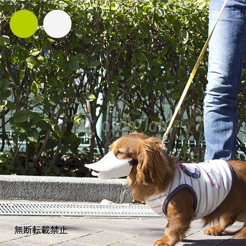 【OPPO】quack closed / オッポ　クァッククローズド　Sサイズ（アソボラボ限定カラー）＜全2色＞