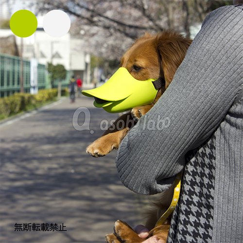 【OPPO】quack closed / オッポ　クァッククローズド　Mサイズ（アソボラボ限定カラー）＜全2色＞