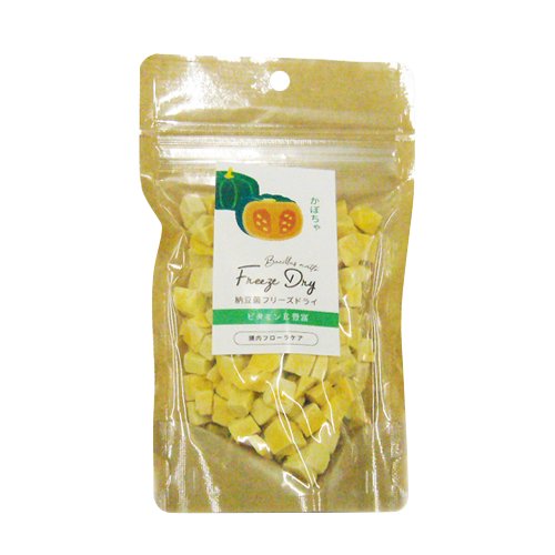 【DRS.CHOICE】ドクターズチョイス　納豆菌フリーズドライ　かぼちゃ