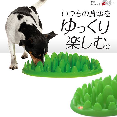 グリーンフィーダー