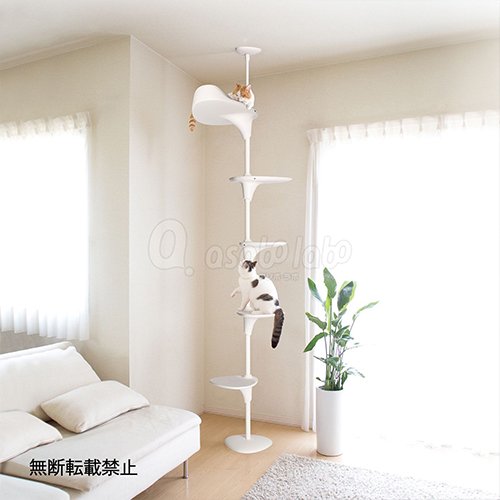 【OPPO】CatForest-2 / オッポ　キャットフォレスト2　＜全2色＞