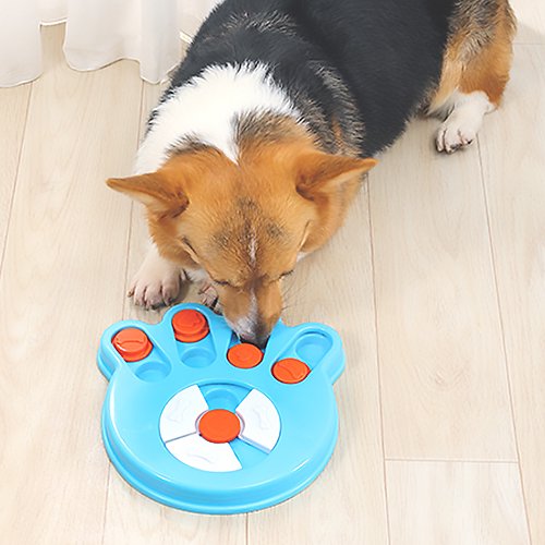 【M-PETS】エムペッツ　BRAINY GAMES　エムペッツ　ブレイニーゲームス　ダーウィン