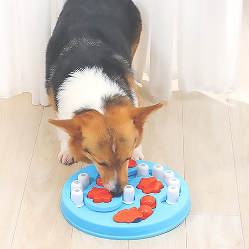 【M-PETS】エムペッツ　BRAINY GAMES　エムペッツ　ブレイニーゲームス　アインシュタイン