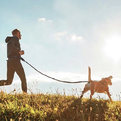 【M-PETS】エムペッツ　HIKINGランニングセット