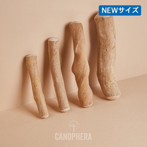 【CANOPHERA】キャノフィラ　デンタルチュースティック　＜全7サイズ＞