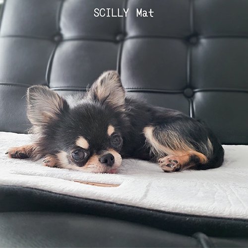 【M-PETS】エムペッツ　SCILLYマット　＜全6サイズ＞