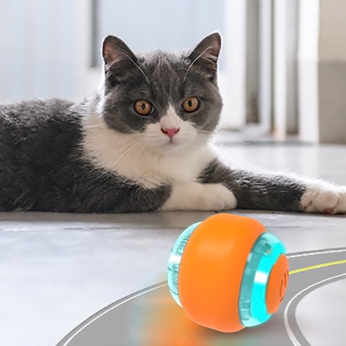 【BENTOPAL】SMART CAT TOY P17