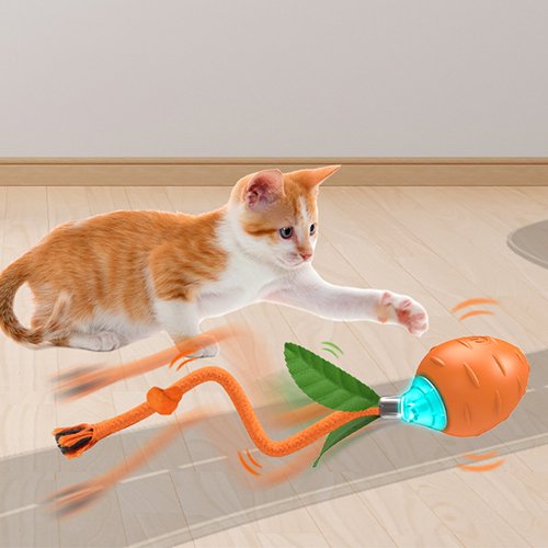 【BENTOPAL】SMART CATTOY L01