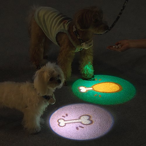 【MewooFun】ミオファン　お散歩用首輪ライト