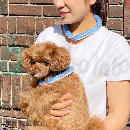 【SUO RING for dogs 28°ICE】スオリングフォードッグ　28℃アイス　＜全16色＞