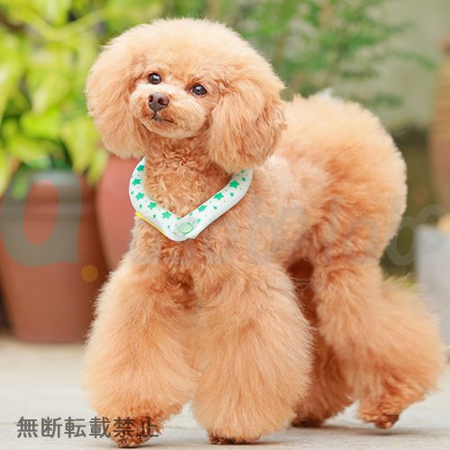 【SUO RING for dogs 28°ICE】スオリングフォードッグ　28℃アイス　ボタン付　＜全7色＞