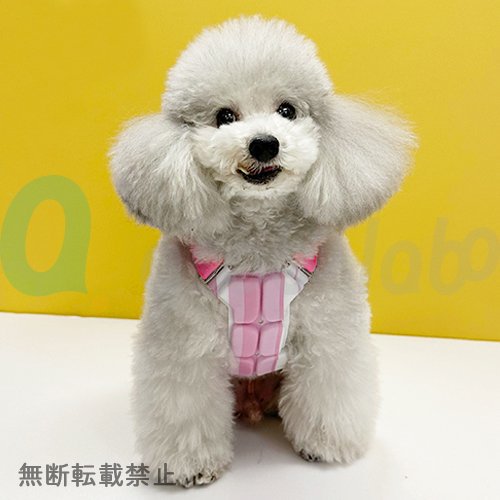 【SUO 256 ICE for dogs】スオ256アイスフォードッグ　クールベスト　＜全3色＞
