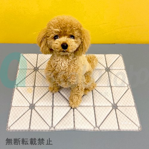 【SUO 28°ICE】COOL Mat3 / スオ28℃アイス　クールマット3　＜全3色＞