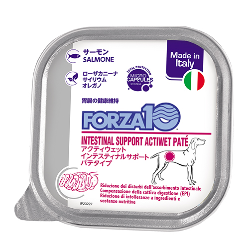 【FORZA10】フォルツァディエチ　インテスティナルアクティウェット　犬用