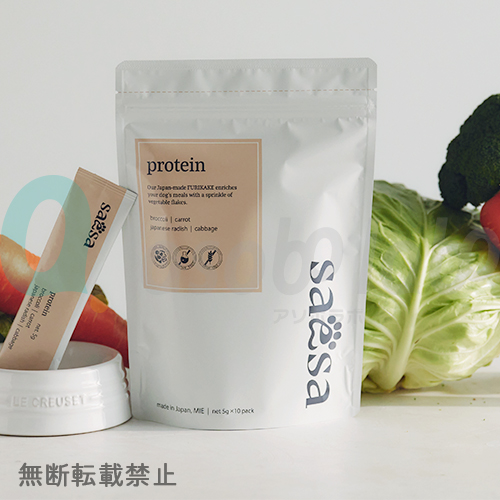 【saesa】protein　サエサ　プロテイン