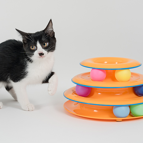 【Petstages】ペットステージ　DXタワーオブ・トラックス［DADWAYPET / ダッドウェイペット］