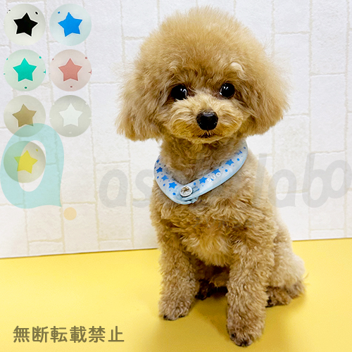 ［数量限定］【SUO】SUO RING for dogs 28°ICE　 Star　デコレボタン付［スオ］