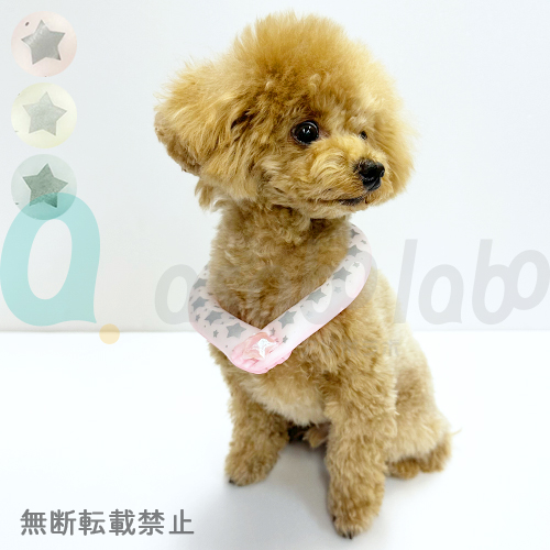 ［数量限定］【SUO】SUO RING for dogs 28°ICE　 Star リフレクター　デコレボタン付［スオ］
