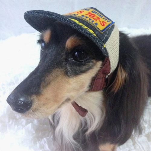 【GARDEN OF EDEN】ガーデンオブエデン　DENIM CAP デニムキャップ ＜全2色＞