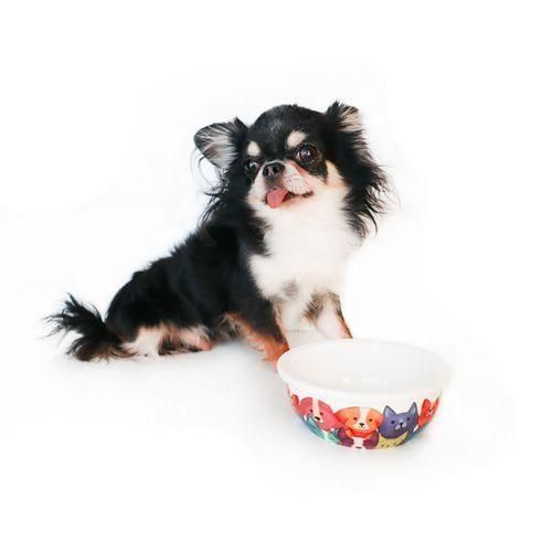 【M-PETS】エムペッツ　PETJOY FeedMeWowボウル PetFamily