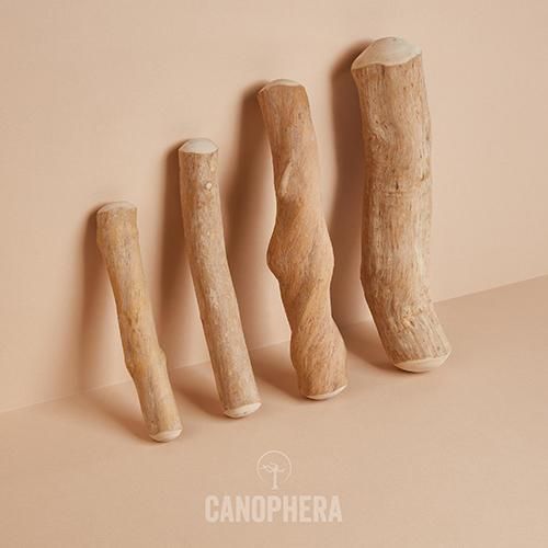 【CANOPHERA】キャノフィラ　デンタルチュースティック　＜全7サイズ＞