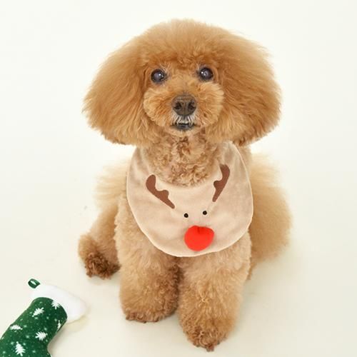 【Solgra】ソルグラ　トナカイスタイ