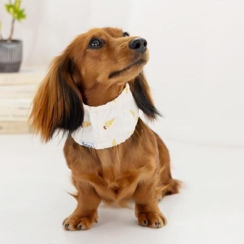 【Solgra】ソルグラ　アイス柄クールネック