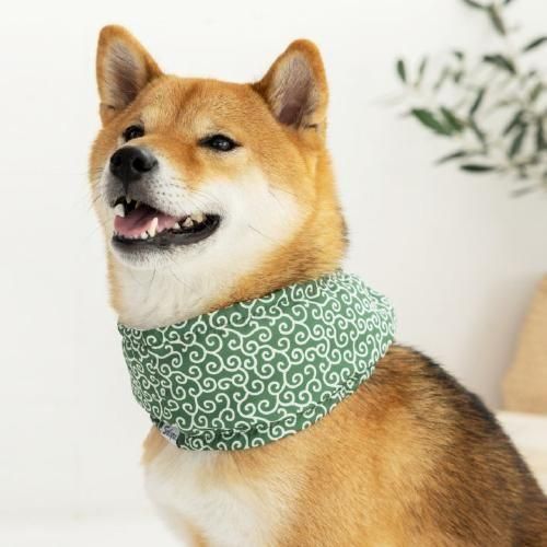 【Solgra】ソルグラ　唐草柄クールネック