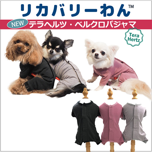 【Coo Couture】クークチュール　テラベルクロパジャマ