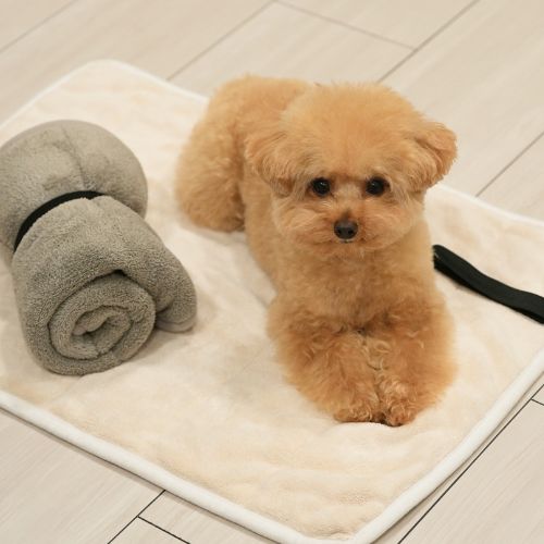 【kuPla kuPla】クプラクプラ　ワンちゃんおもいのマット ＜全2色＞