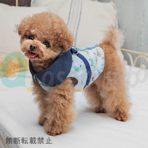 【LOU LOU】 きょうりゅうハーネス