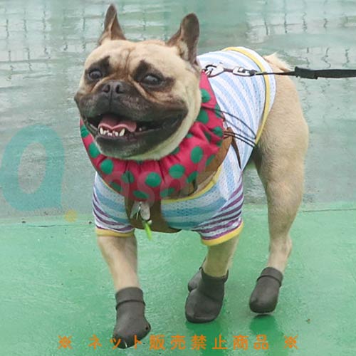 【ペットアドバンス】犬用ブーツ　パウテクト　レインブーツタイプ