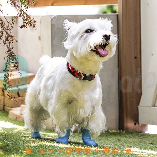 【ペットアドバンス】犬用オールシーズンブーツ　パウテクト　通気孔タイプ