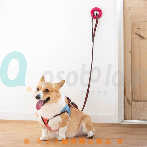 【ペットアドバンス】ドギーフック　ライト