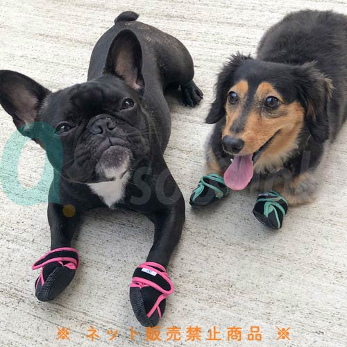 【ペットアドバンス】いぬたび　屋外用