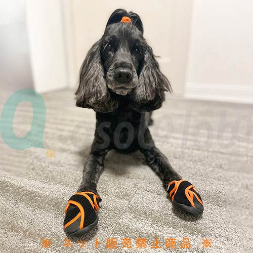 【ペットアドバンス】いぬたび　室内用