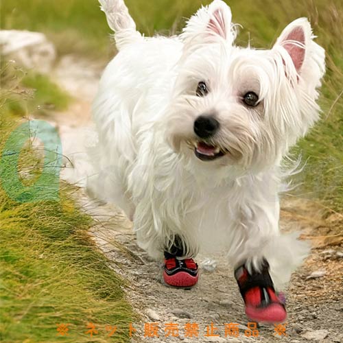 【ペットアドバンス】山歩靴