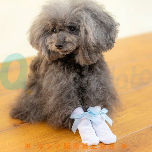 【ペットアドバンス】犬用靴下　スキッター　マカロン